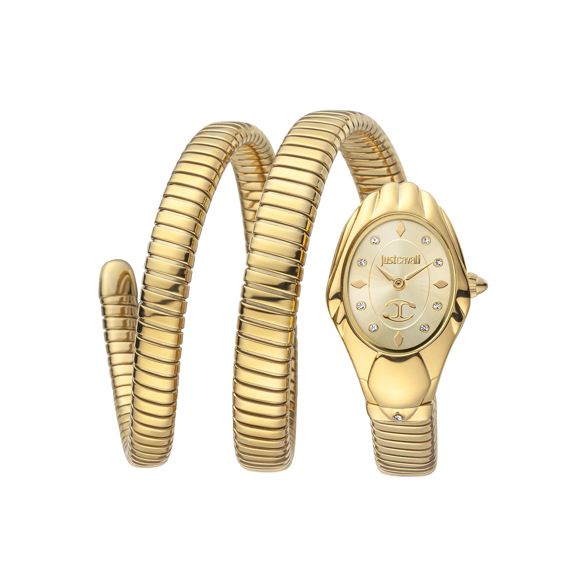 Just Cavalli JC1L184M0025