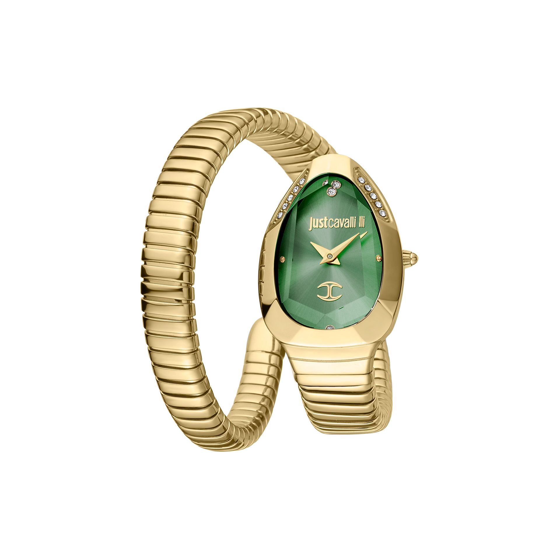 Just Cavalli JC1L208M0045