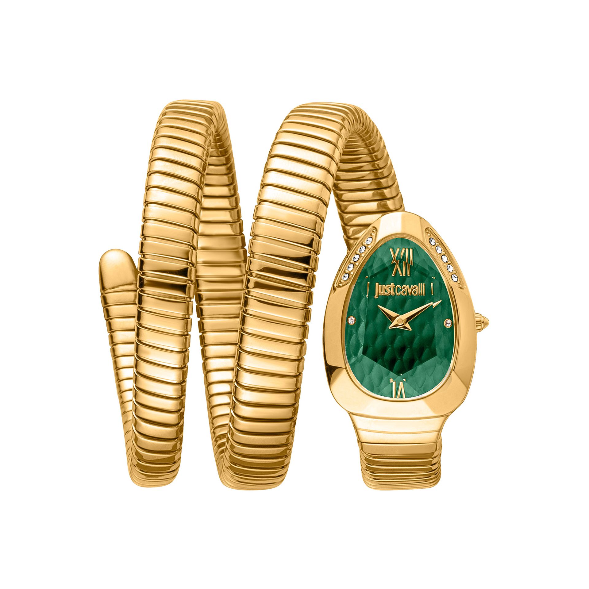 Just Cavalli JC1L224M0045